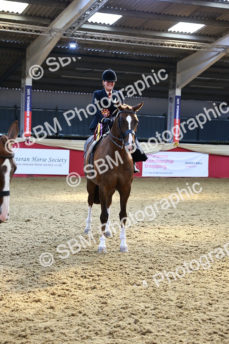 SBM_12802 - HOYS Veteran Qualifier - Ridden Champ