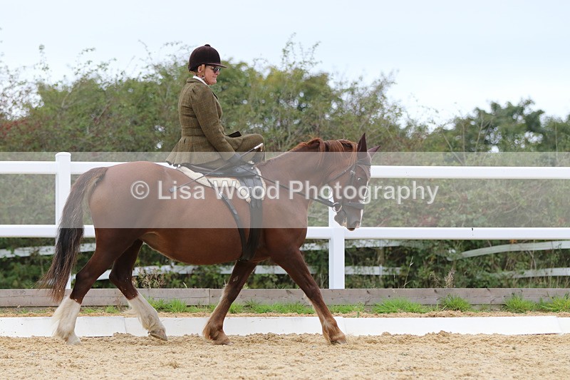 0I1A7049 - Class 9: Prelim Freestyle to Music