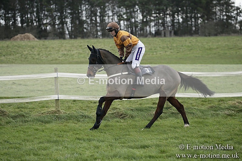 PtP 031217 75 - Hursley Hambledon Point-to-Point Larkhill 03/12/17