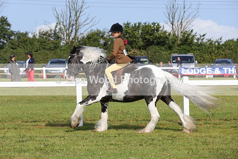 1X9A3282 - Class 28: Ridden Native/Trad Coloured Pony
