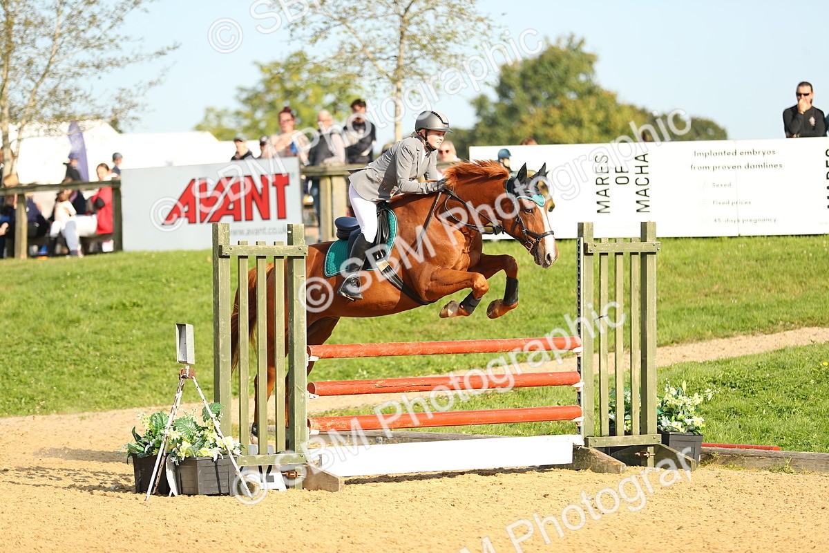 SBM_60272 - J41 - Grand Tour 95cm Championship