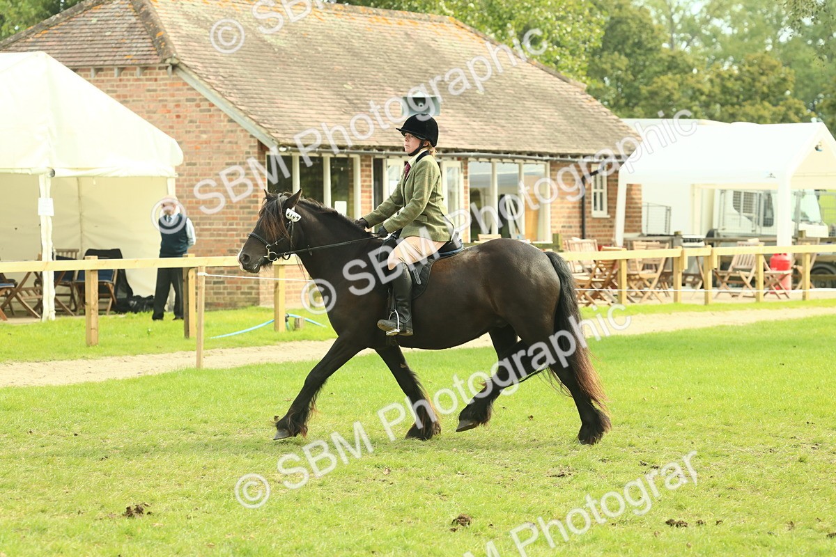 SBM_69351 - S58 - Mini Show Cob Ridden