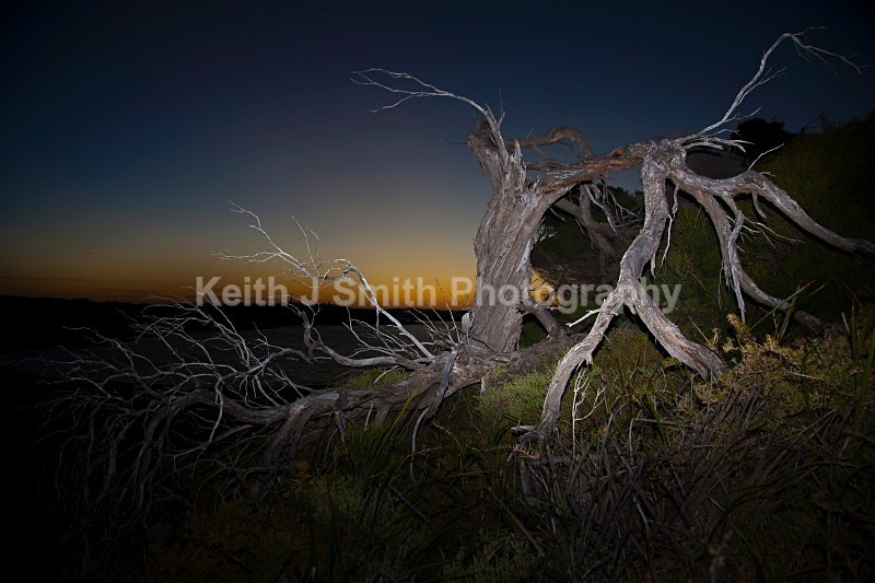 YR6M4269 - While your were sleeping