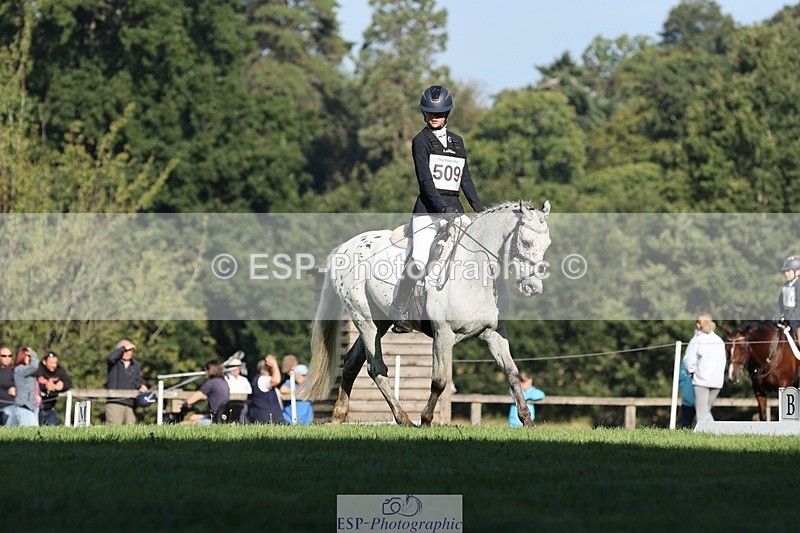 250823A-090619-25854 - Arena D