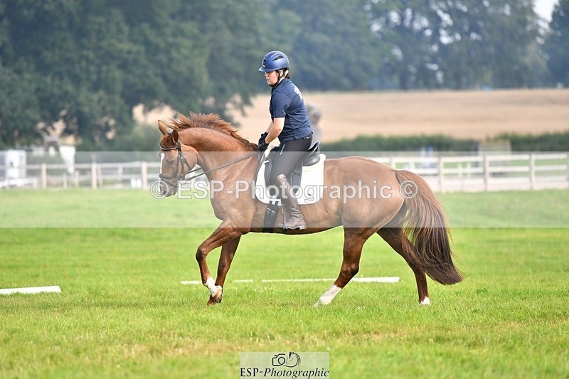 230817-092823-02553 - Abbie's 1st Group - Dressage