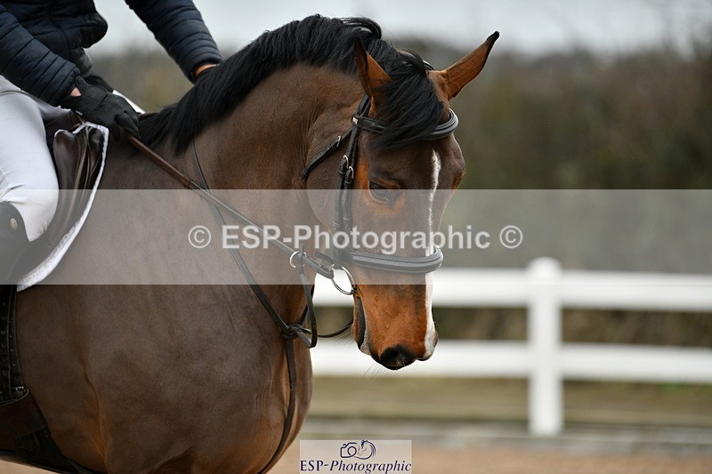 240112A-124558-00818 - Cls 5 Newcomers and 1.10m Open