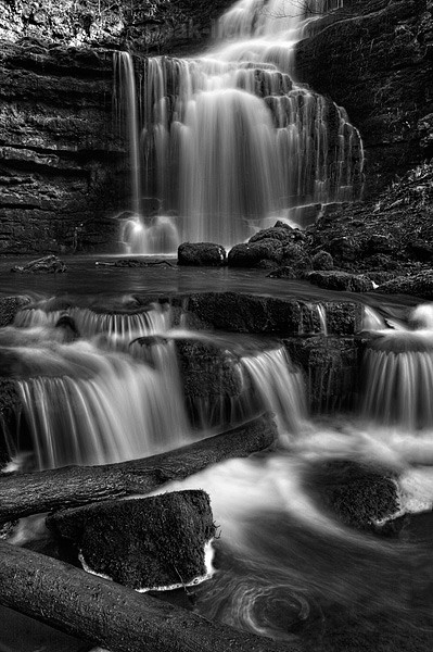 Scaleber Force - Lucky Dip