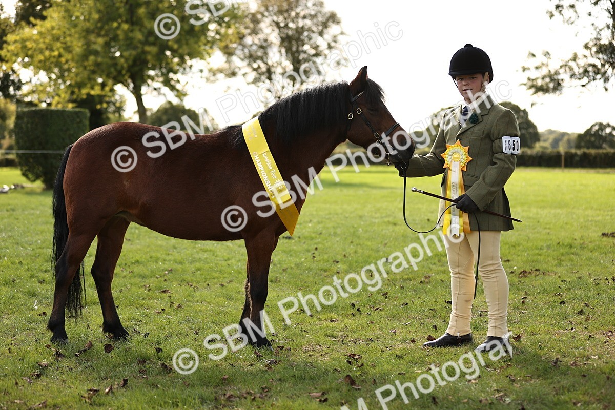 SBM_26280 - S5 - Novice & Newcomers In Hand
