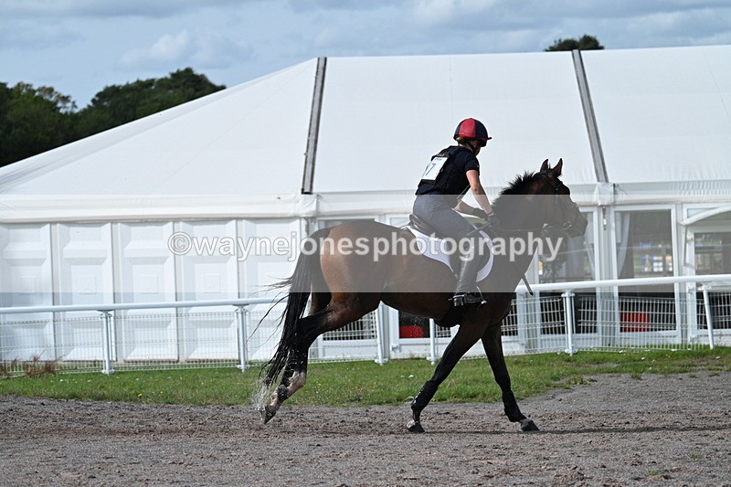 WJ7_2438 - Time 13:55 to 14:05