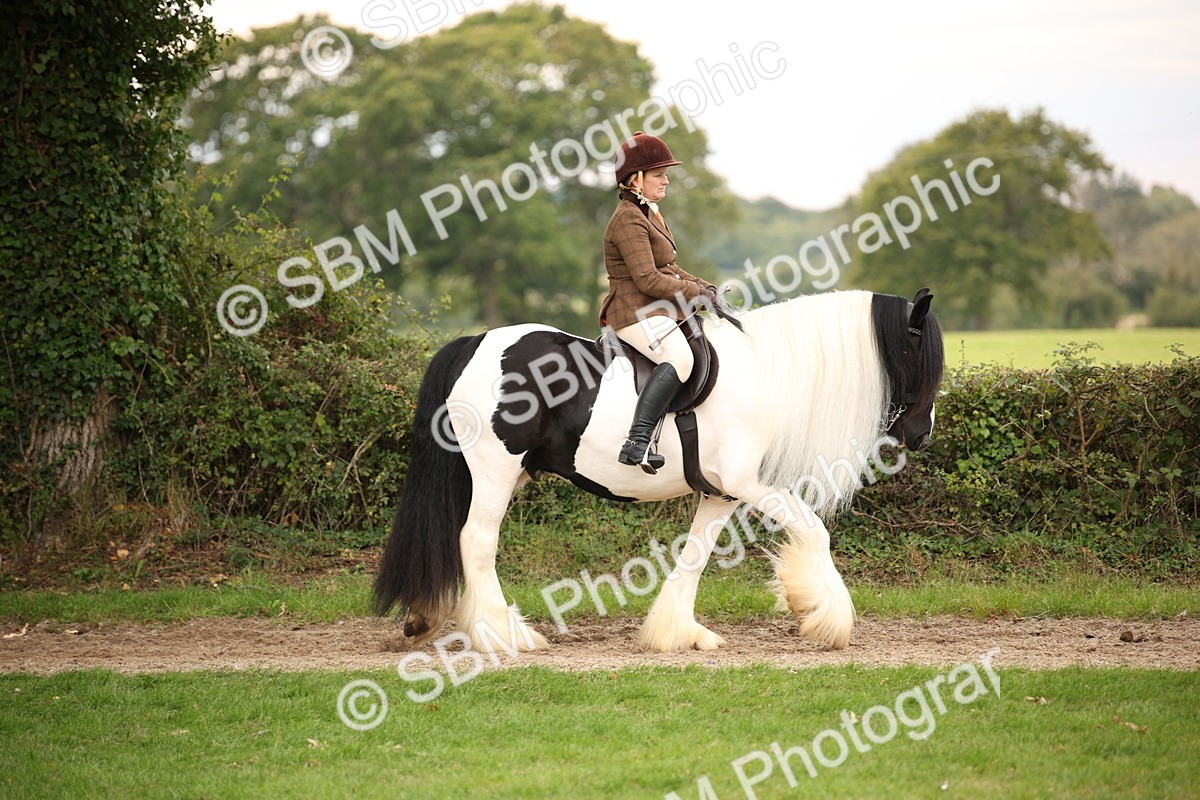 SBM_73412 - S68 - Traditional Cob Ridden