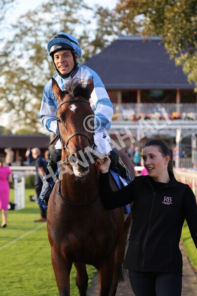 yr08102021r6-29 - Race 6 4.55pm Frank Whittle Partnership British EBF Restricted Novice Stakes