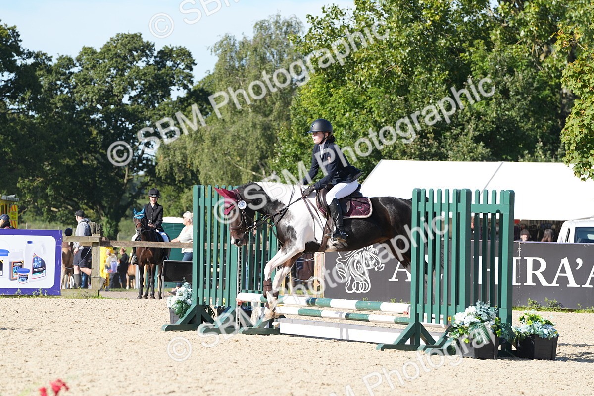 SBM_36165 - J 20 - Junior Horse 50cm Championship