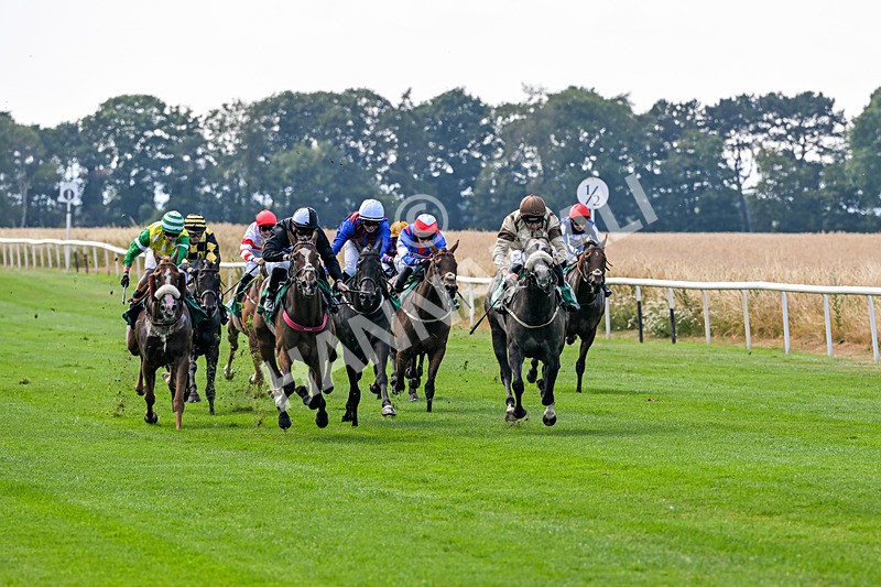 160726-Race 3-Angel Numbers-4430 - Race 3 15.03pm Sell Your Business With Anderson Barrowcliff Handicap