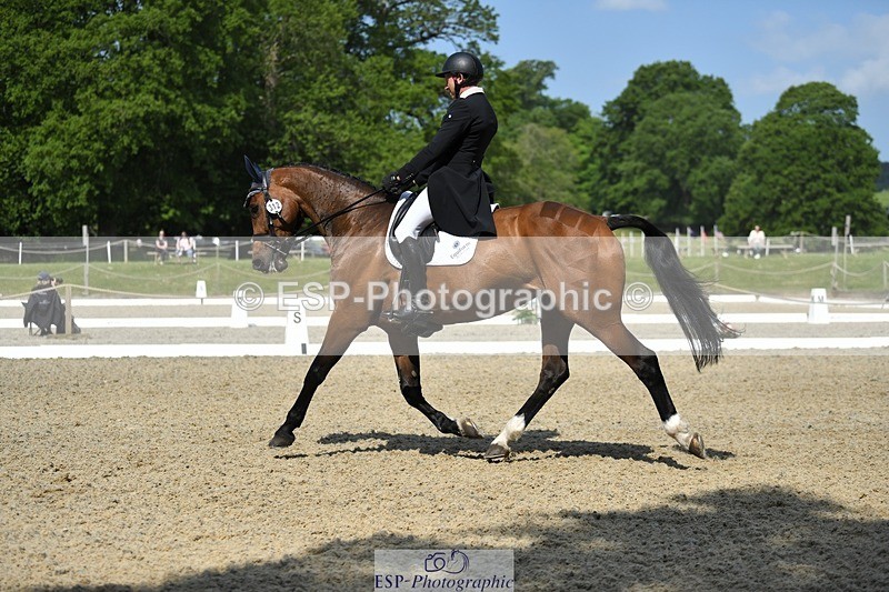 230525-102504-01708 - 312-J'ADORE_SALSA-Michael_Owen-WEDTrotUp+DR