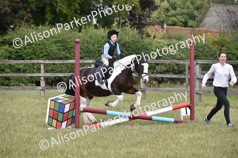 20250831-1818 - Class 8 - Hoof and Foot