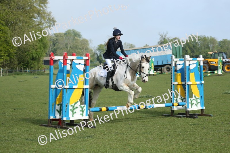 20260426-0052 - Class 13 - Rookie Jumping 50cm