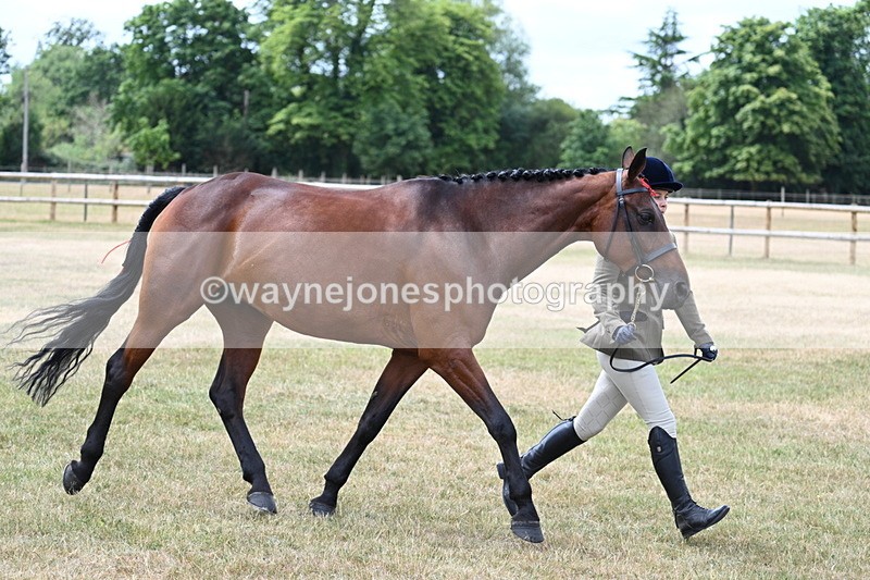 WJ7_1908 - Class 4a Prettiest Mare 14.2hh and over hand