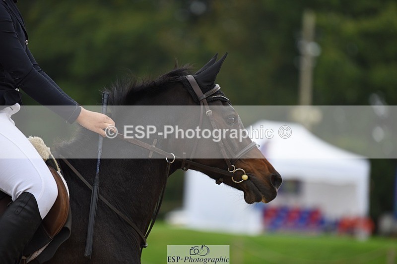 231001-123254-02423 - Cls 2 80cm 12.20 to End