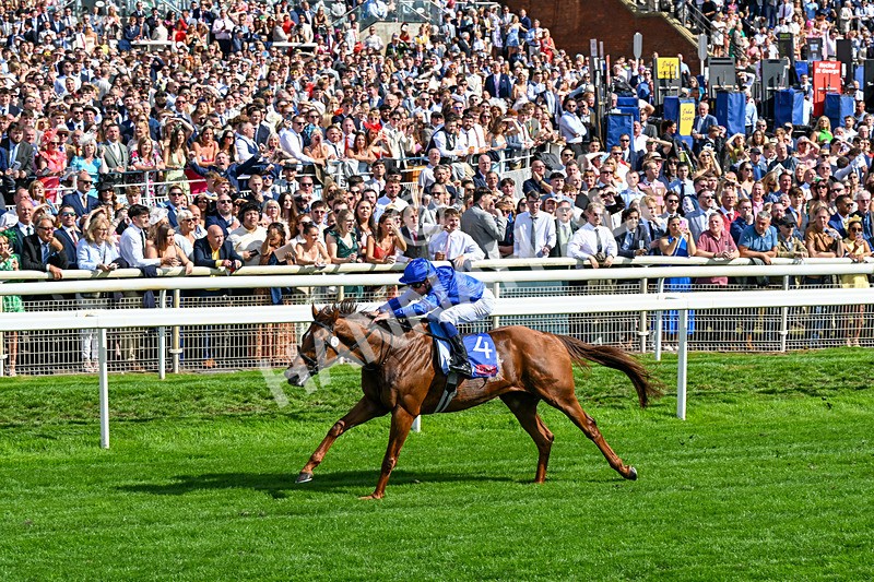 220826-Race 3-Notable Speech-0369 - Race 3 15.00pm Sky Bet City Of York Stakes