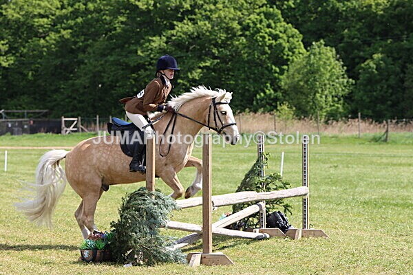 IMG_4236 - Working Hunter
