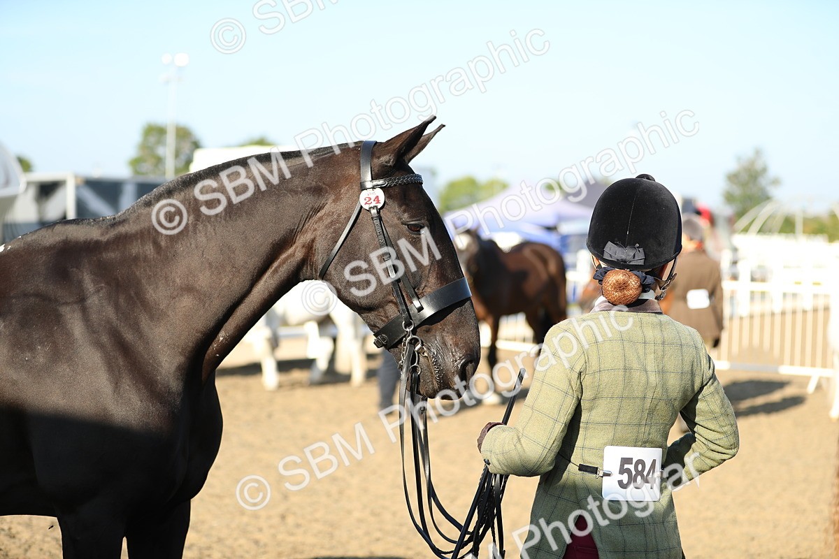 SBM_00040 - Class 40 Best Turned Out IH