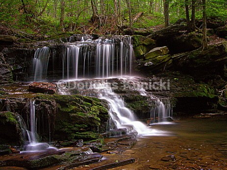 Logan Falls - Allegheny National Forest