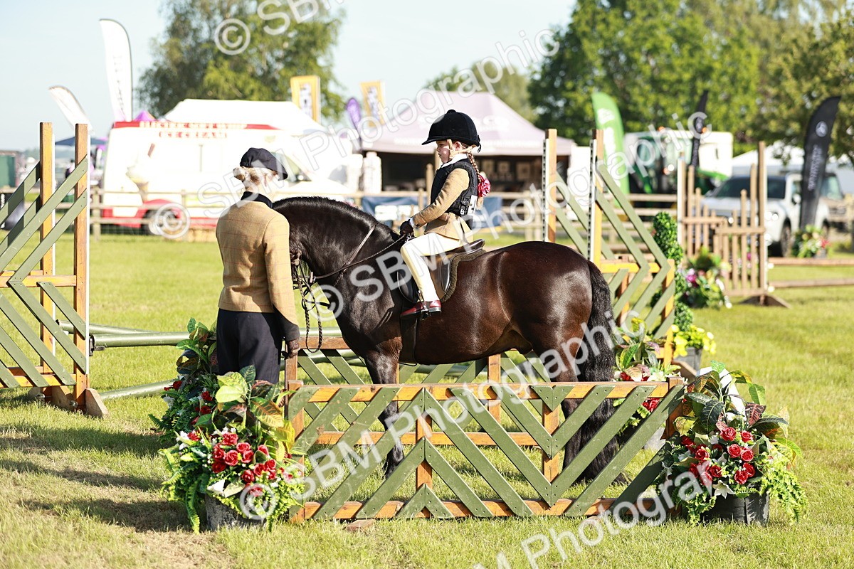 SBM_11156 - Class 106-107 - BSPS LIHS Working Sports Pony