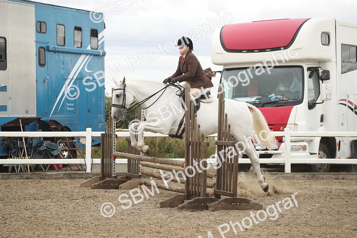 SBM_18263 - Class 509a - Working Veteran - 80cm (15-19)