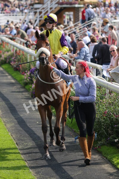 yr05092021r2-10 - Race 2 2.40pm John and Judith Marshall Memorial Stakes