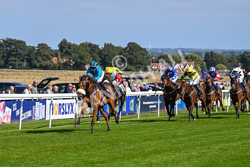 180924-Race 1-Tees George-3691 - Race 1