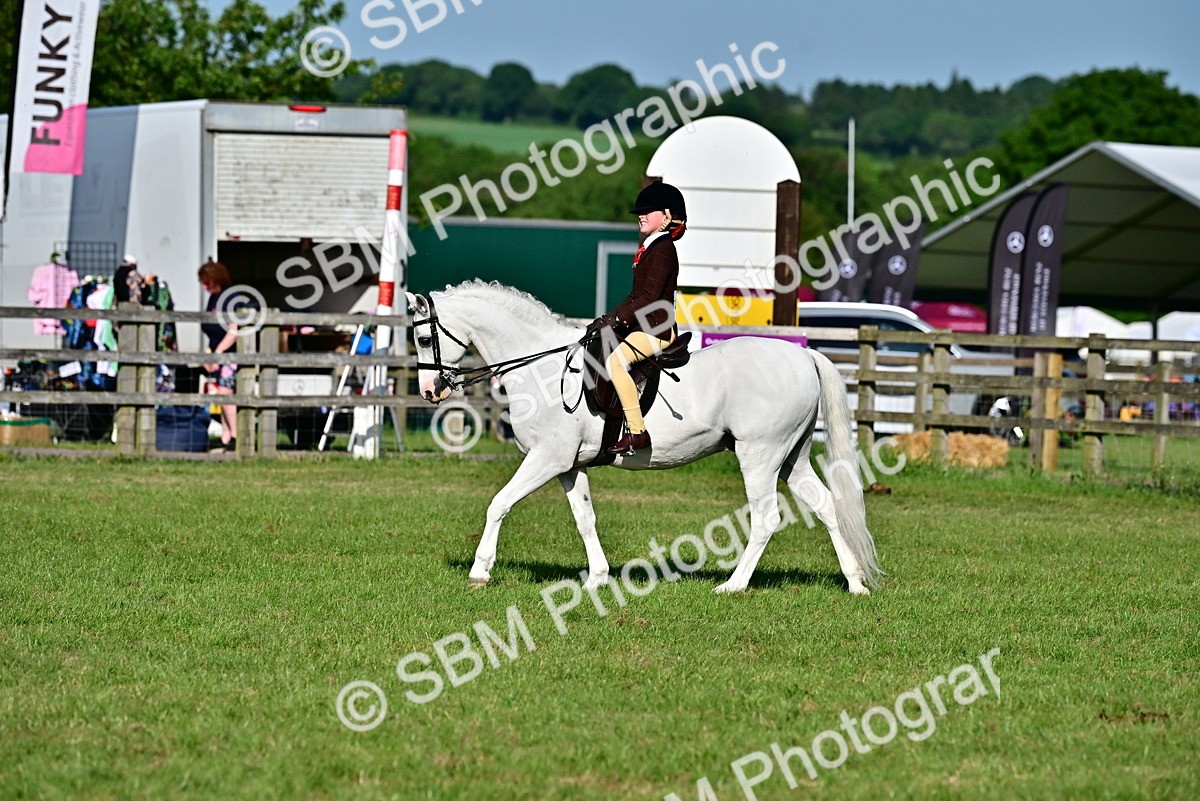 SBM_19891 - Class 103 - 105 - TSR Ridden Amateur of the Year Plaited Ponies
