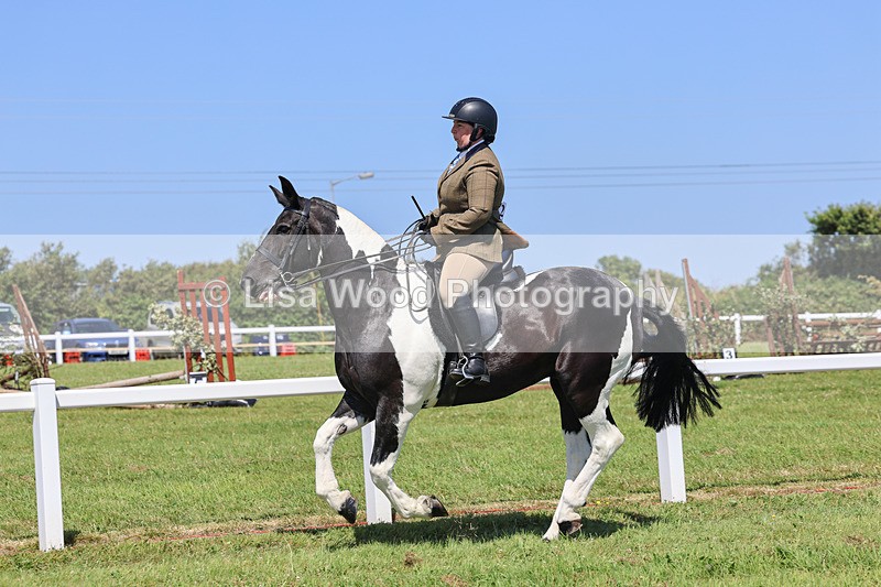 IMG_2401 - Class 38: Veteran Ridden
