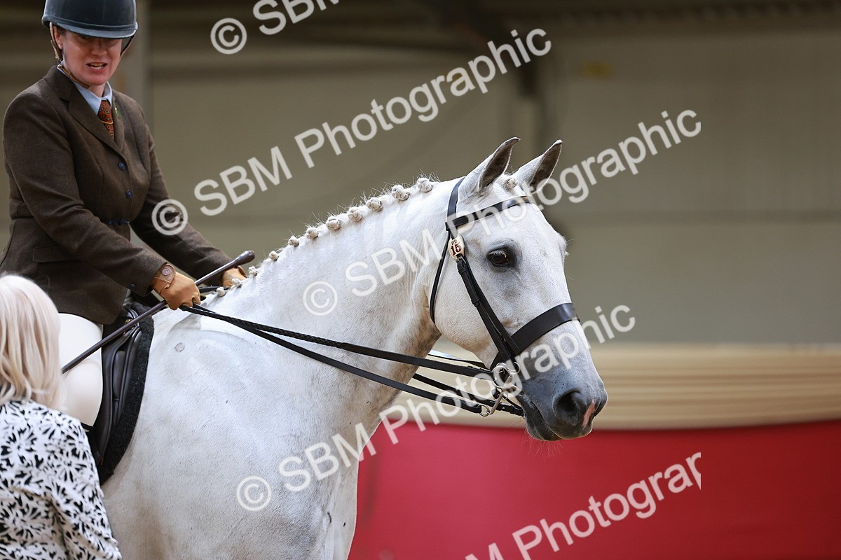 SBM_06053 - Class 12R - Ridden Pre-Vet