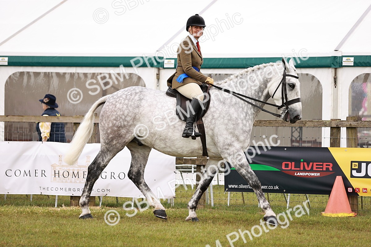 SBM_11538 - Class 81-84 - RIHS Ridden hunters Inc Ladies Hunter