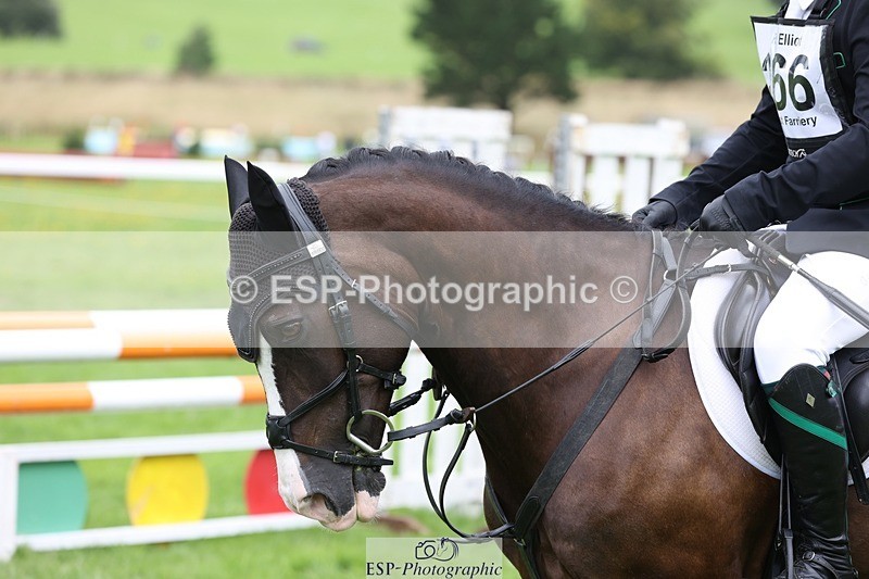 230805-130949-03053 - SJ 13 to End