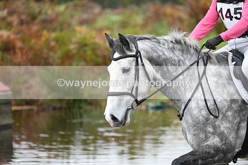 WJ7_1129 - 80cm Cam 2 Water Time 11:29 to 11:46