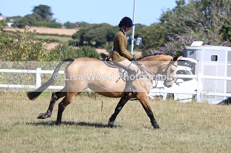 3E7A5796 - Class 5: Working Hunter 90cm