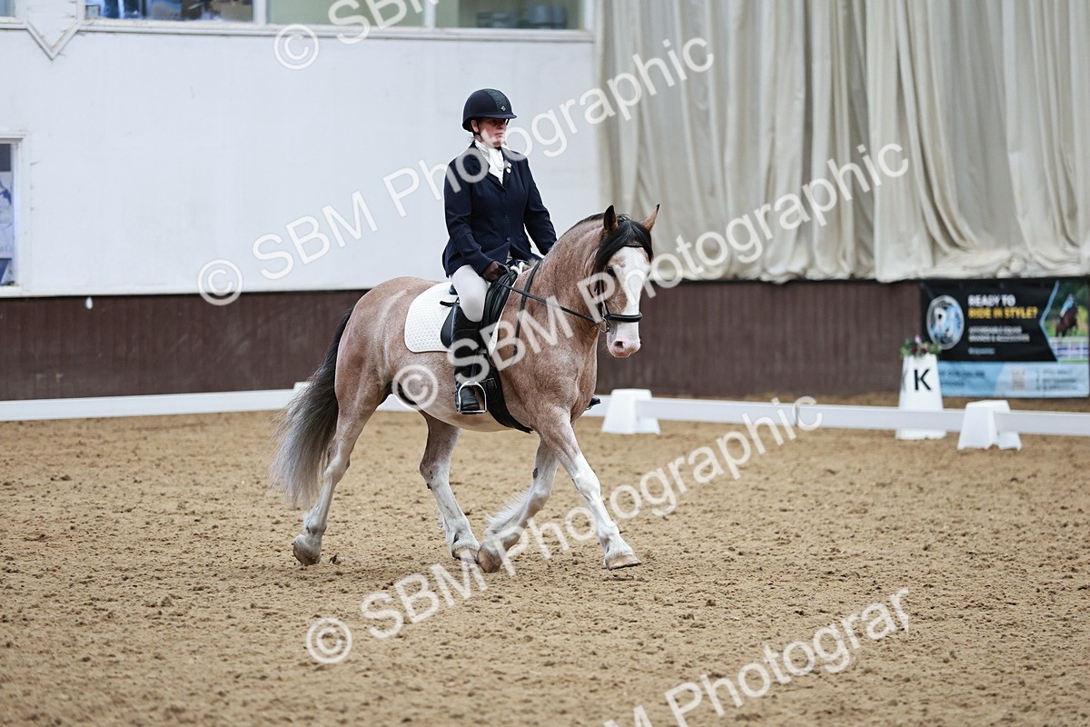 SBM_014217 - Class 7 - Ele FSM Bronze 12.12.13.08