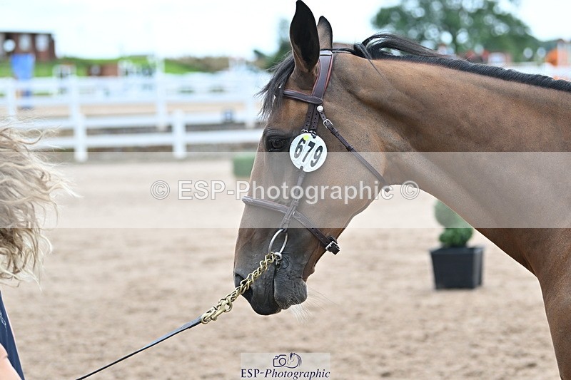 240717A-143118-02104 - Trot Up 2pm to 3pm - This folder is not in time order