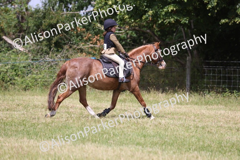 20260614-2014 - Class 21 - Novice Working Hunter Pony