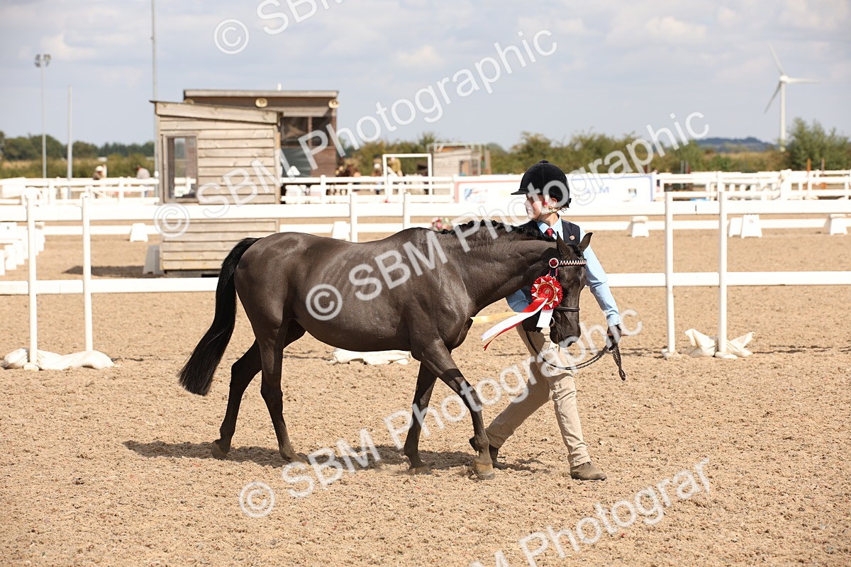 SBM_03808 - Class 19 Judge's Favourite