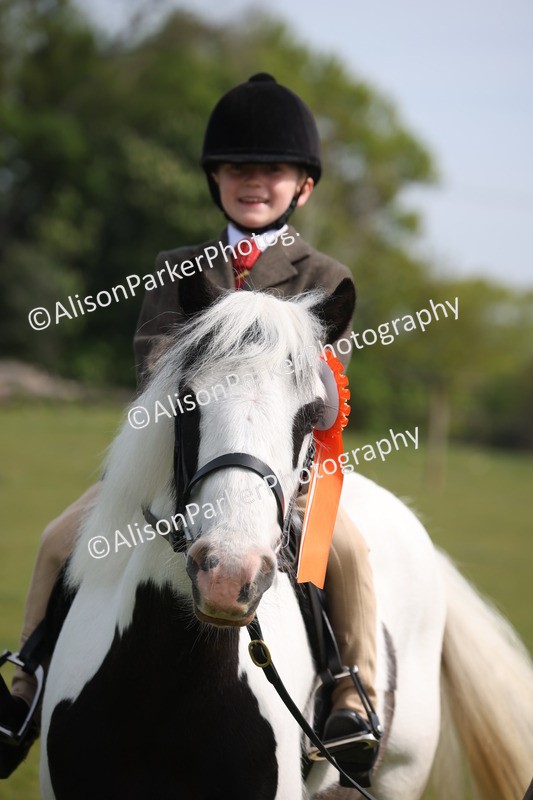 20260426-2635 - Class 31 - Leading Rein