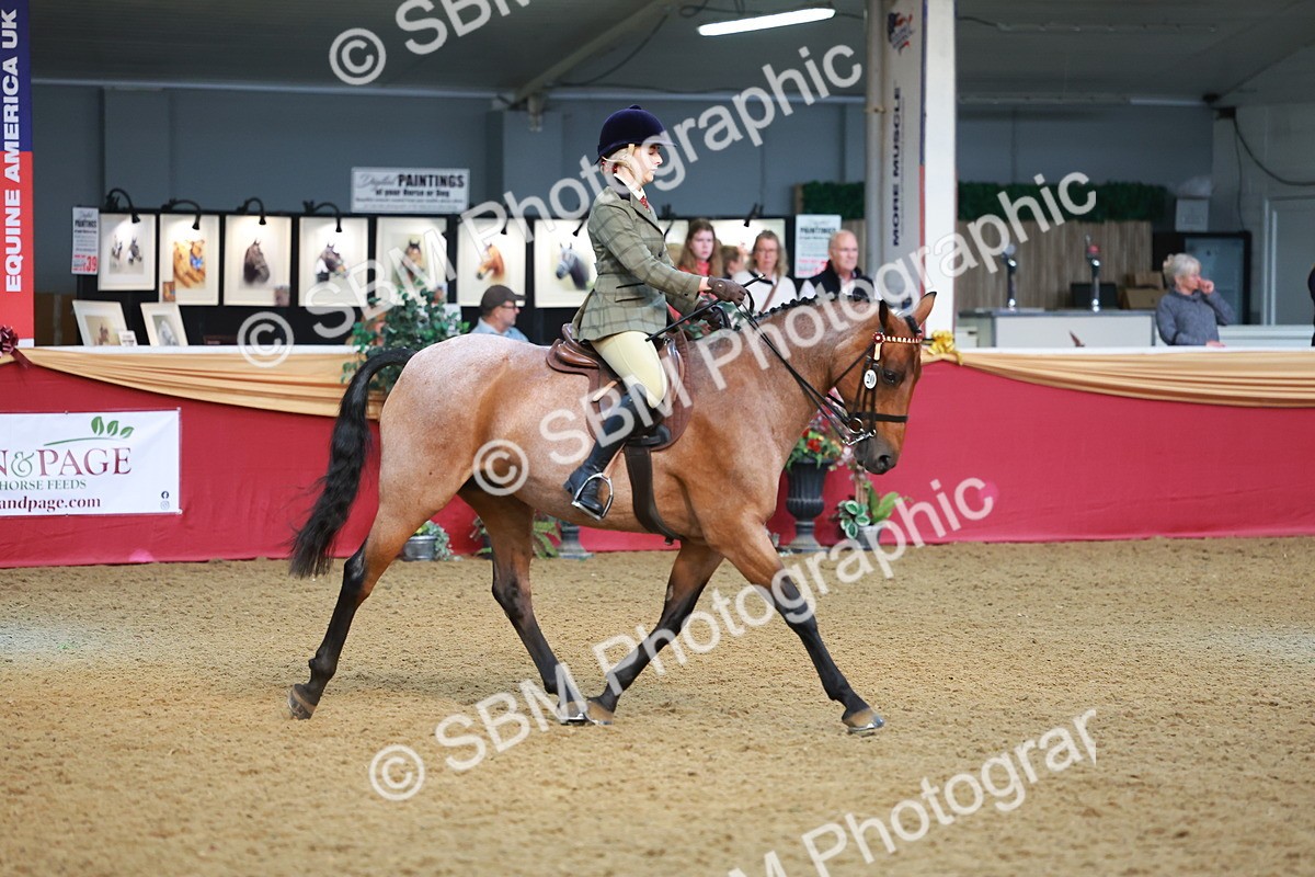 SBM_09524 - Class 102 - HOYS Veteran Qualifier - Ridden Veteran