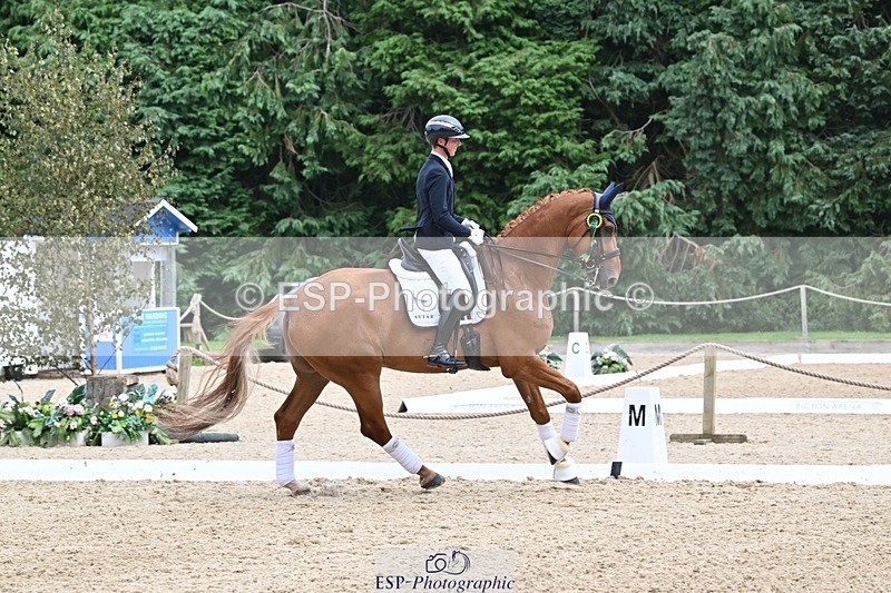 240811-132421-05948 - Medium Silver