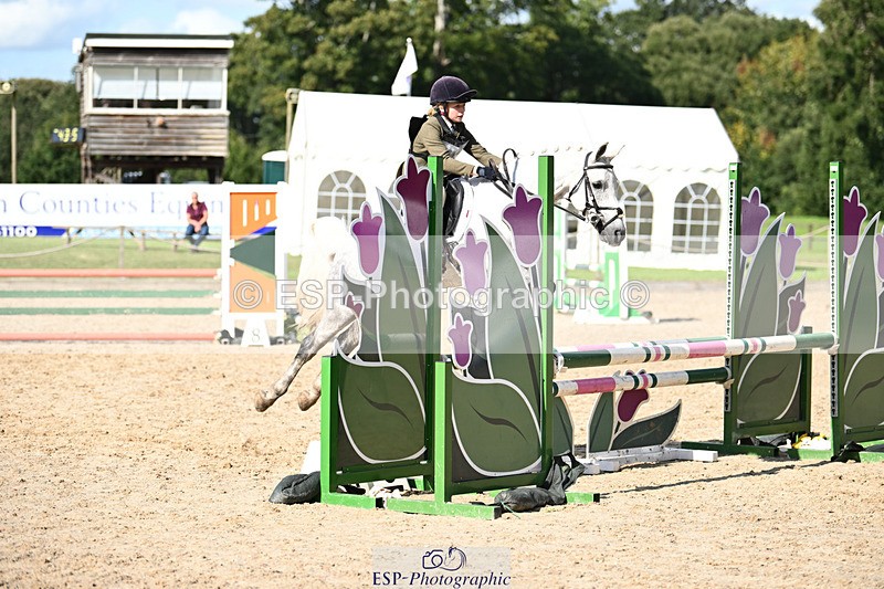 240824X-153501-29685 - 80cm Round 2 15.30 to 16.50