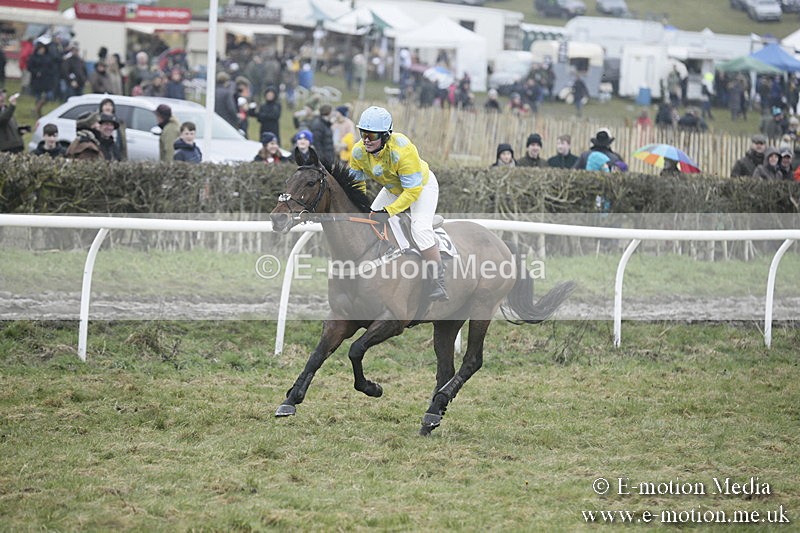 PtP 020418 -337 - Old Berks Point-to-Point Races Easter Monday 02/04/18