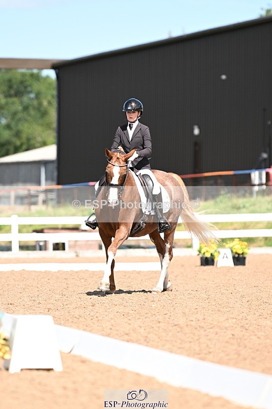 240816A-132055-05029 - 113-Ruby.Gumbley-Nova's.Golden.Dream