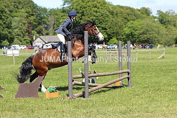 IMG_4053 - Working Hunter