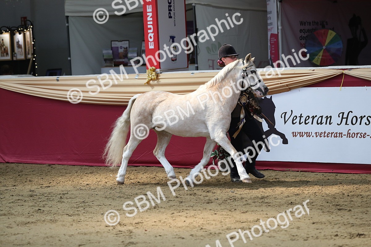 SBM_04497 - Class 7R Regional - IH Diamond