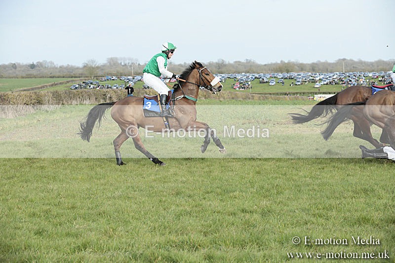 PtP 230319 444 - VWH Hunt Siddington Point-to-Point Racing 23/03/19